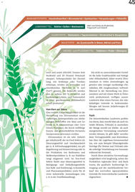 Lagerhaus Flugblatt Seite 45