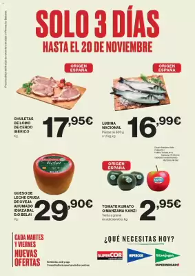 Catálogo Viajes El Corte Inglés (válido hasta 20-11)