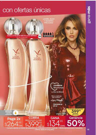 Catálogo Fuller Página 15