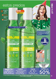 Catálogo Fuller Página 29