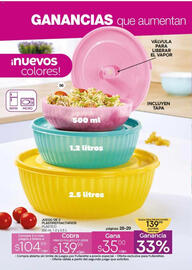 Catálogo Fuller Página 32