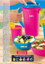 Catálogo Fuller Página 34