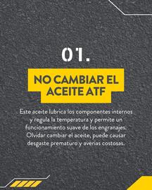 Folleto Rodi Página 2