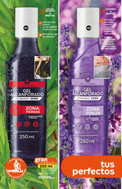 Catálogo Fuller Página 102