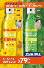 Catálogo Fuller Página 103