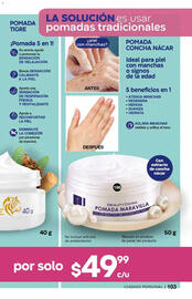 Catálogo Fuller Página 105