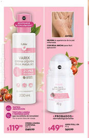 Catálogo Fuller Página 106