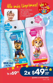 Catálogo Fuller Página 13