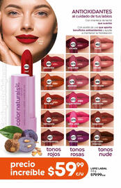 Catálogo Fuller Página 146