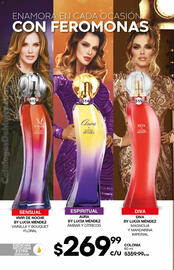 Catálogo Fuller Página 164