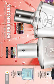 Catálogo Fuller Página 170