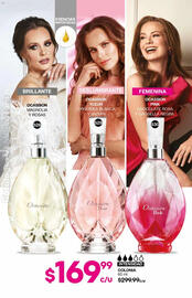 Catálogo Fuller Página 172