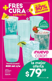 Catálogo Fuller Página 27