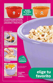 Catálogo Fuller Página 32