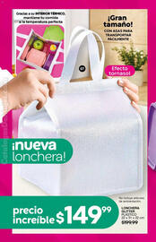 Catálogo Fuller Página 38