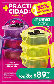 Catálogo Fuller Página 39