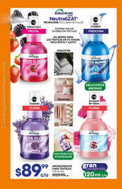 Catálogo Fuller Página 64