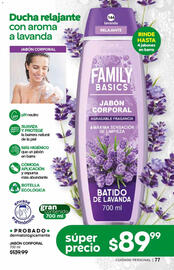 Catálogo Fuller Página 79