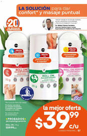 Catálogo Fuller Página 99