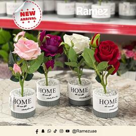 Ramez catalogue week 47 Page 1