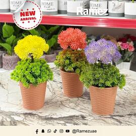 Ramez catalogue week 47 Page 2