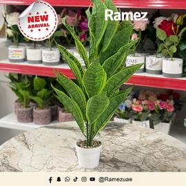 Ramez catalogue week 47 Page 5
