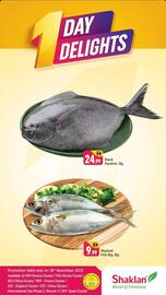 Shaklan leaflet Page 1