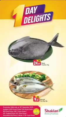 Shaklan leaflet (valid until 18-11)