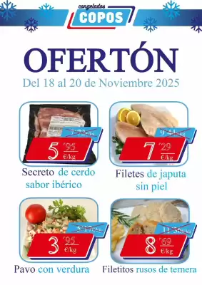 Catálogo Congelados Copos (válido hasta el 20-11)