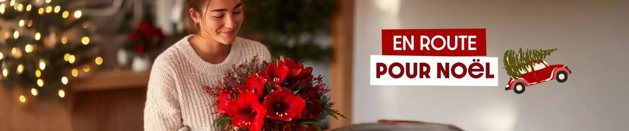 Catalogue Florajet page 1