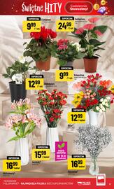 Polomarket gazetka tydzień 47 Strona 17