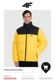 4F gazetka tydzień 47 Strona 12