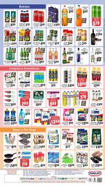 Folheto Panelão Página 4