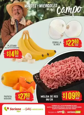 Folleto Soriana Híper (válido hasta 20-11)