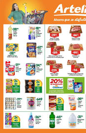 Folleto Arteli Página 1