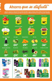 Folleto Arteli Página 2