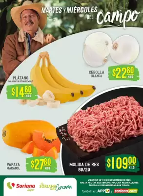 Catálogo Soriana Súper (válido hasta 19-11)