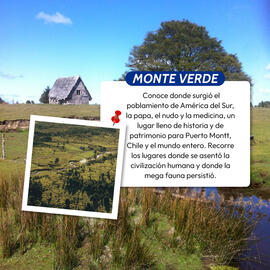 Catálogo Dimarsa Página 2