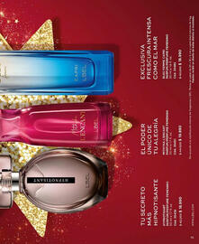 Catálogo L'Bel Página 15