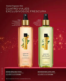 Catálogo L'Bel Página 94