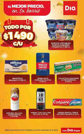 Folleto Supermercados DIA semana 47 Página 4