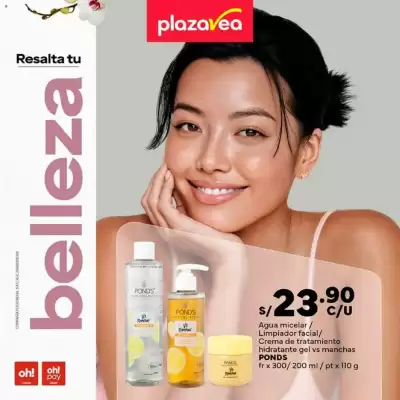 Catálogo Plaza Vea (válido hasta 1-12)