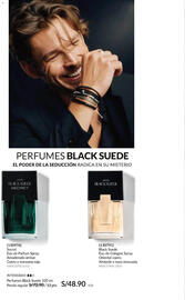 Catálogo Avon Página 104