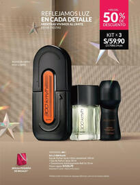 Catálogo Avon Página 21