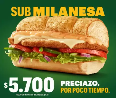 Catálogo Subway (válido hasta 30-11)