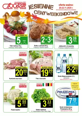 Społem gazetka (ważność do 22-11)