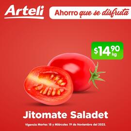 Folleto Arteli Página 1