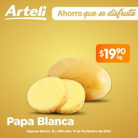 Folleto Arteli Página 2