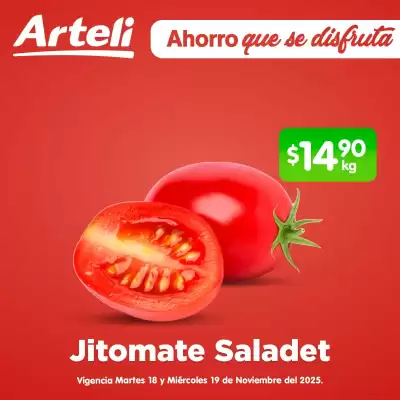 Folleto Arteli (válido hasta 19-11)