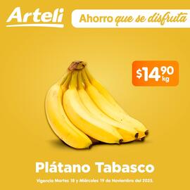 Folleto Arteli Página 1